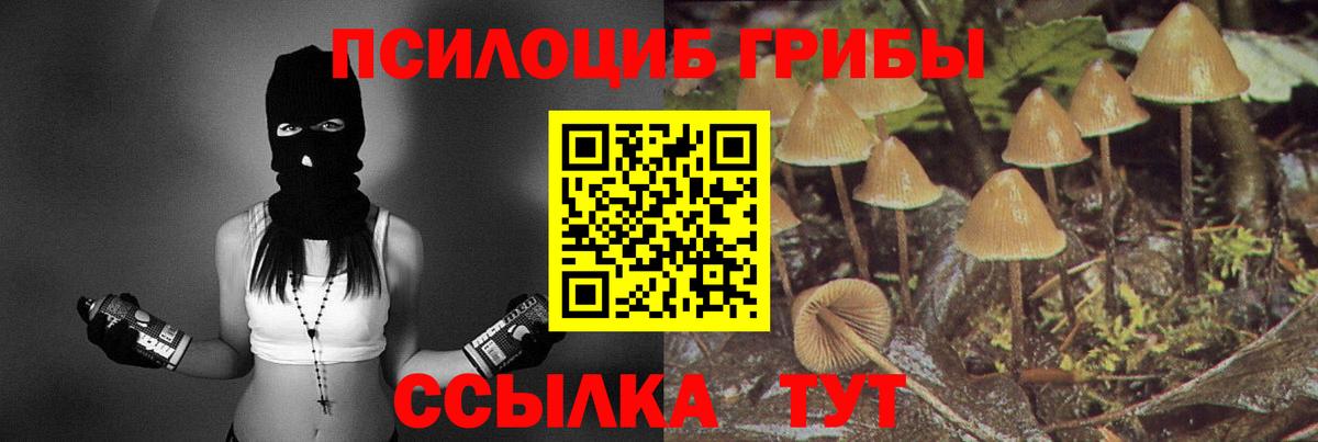 Псилоцибиновые грибы Psilocybe  Вход с VPN  Новороссийск  Галлюциногенные грибы GOLDEN TEACHER 